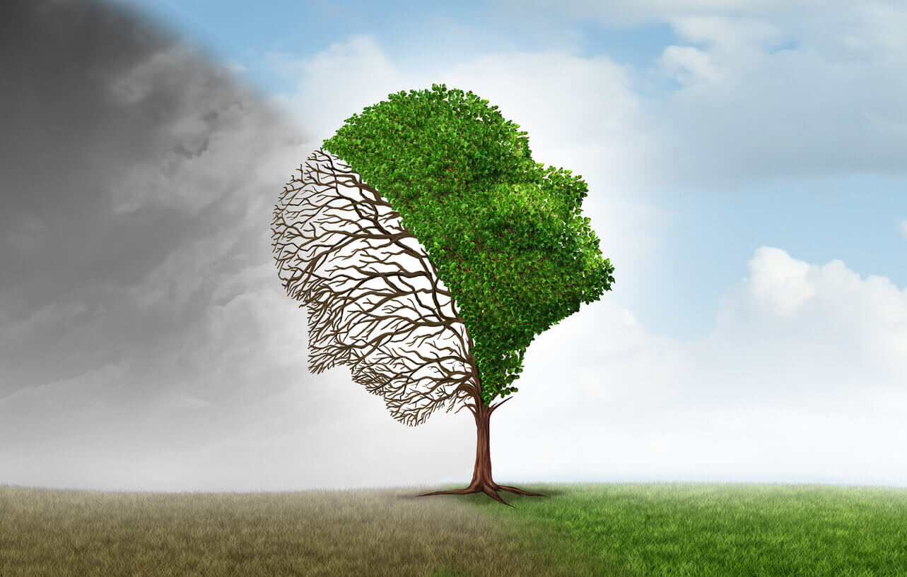 Conceptual illustration of Bipolar Mood Disorder showing a head-shaped tree divided between a dark, barren side and a lush, green side.