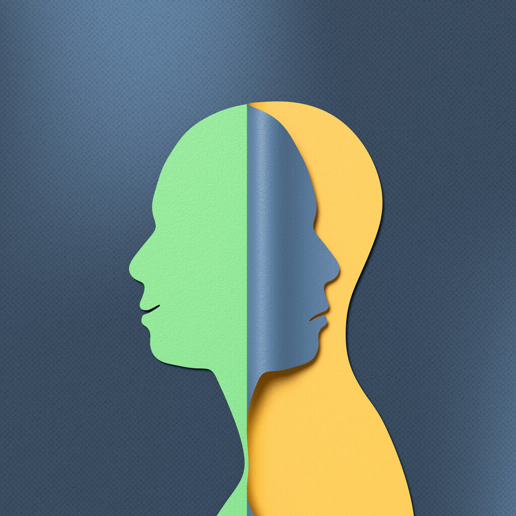 Dual Personality Concept. Bipolar Awareness.